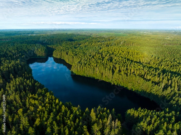 Obraz A small lake in a swamp.