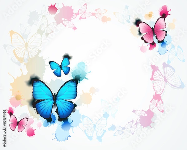 Obraz butterfly background