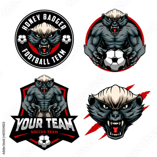 Fototapeta Football Soccer Club Emblem Badge Logo design with a mascot combination of a honey badger head and half a body. set of logo combinations