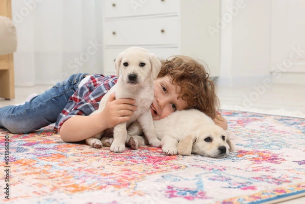 Fototapeta Little boy with cute puppies on carpet at home