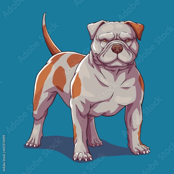 Obraz American bully pitbull dog bulldog