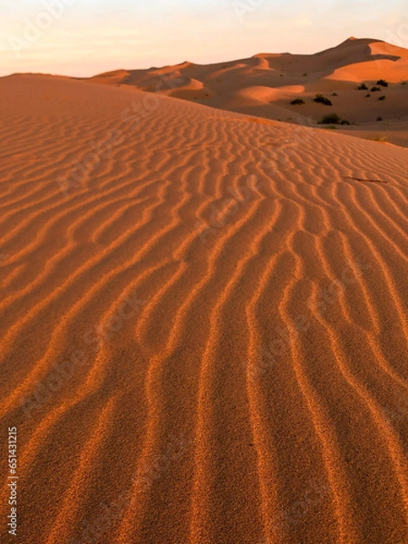 Obraz desert country