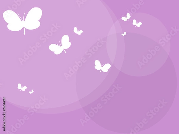 Obraz Schmetterlinge, Butterfly