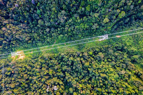 Obraz view powerline from top in the middle of tropical jungle