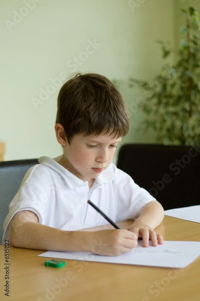 Obraz Boy doing homework