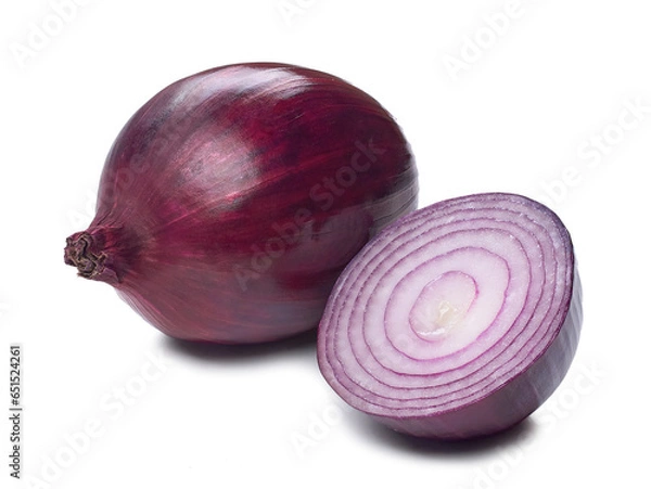 Obraz red onion illustration on white background