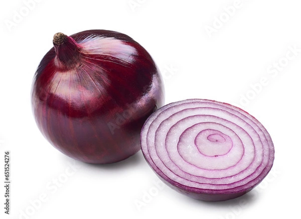 Obraz red onion illustration on white background