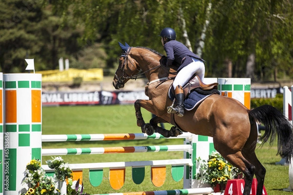 Obraz Saut d'obstacles_3