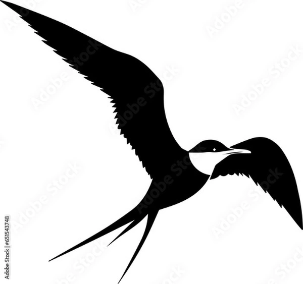 Obraz Elegant Tern icon