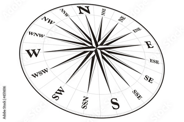 Obraz compass