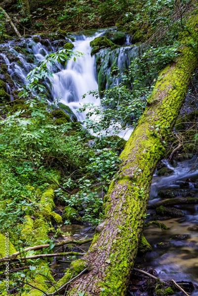 Obraz Small waterfall in the woods
