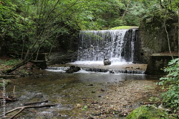Fototapeta A waterfall in a forest