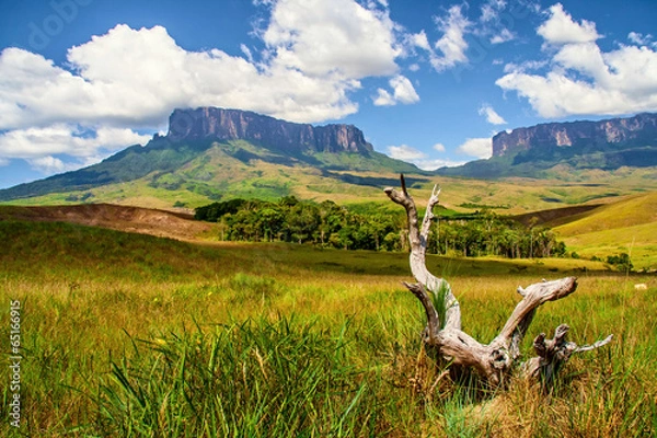 Fototapeta Wenezuela