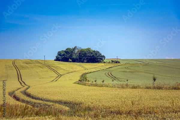 Fototapeta Tractor tracks cutting through a field. Tractor wheel track running through field landscape, The Czech republic. 
