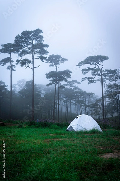 Fototapeta Phu Soi Dao National Park in the rainy season