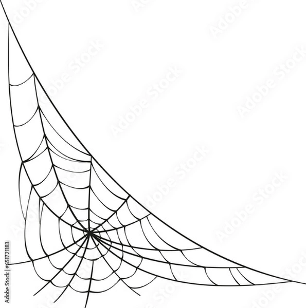 Fototapeta Spider web logo icon vector
