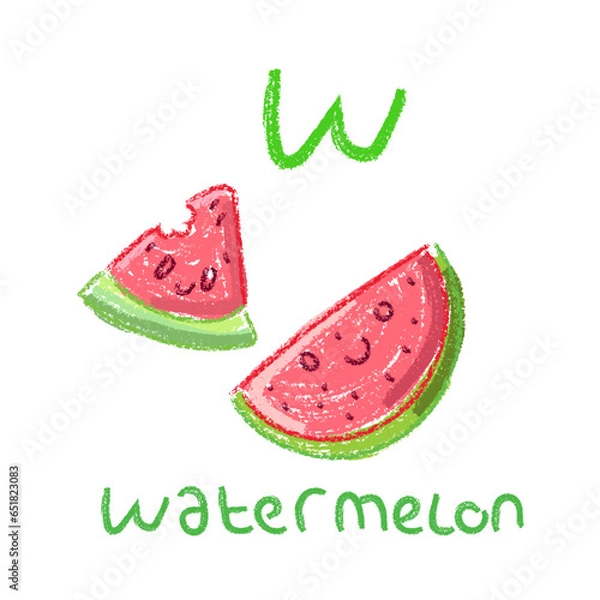 Obraz watermelon vector illustration