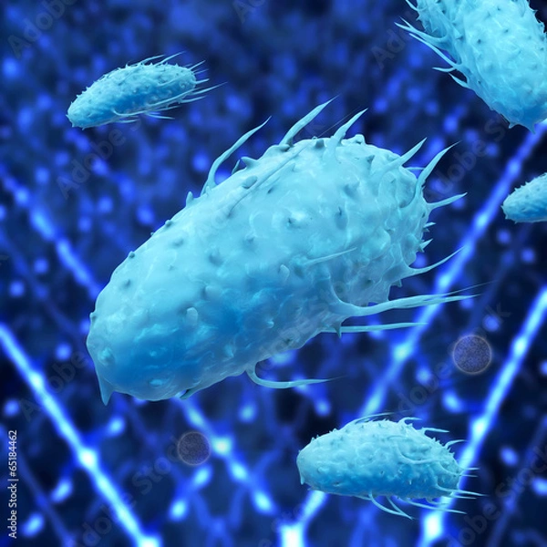 Fototapeta Proteus Bakterien - 3d Render