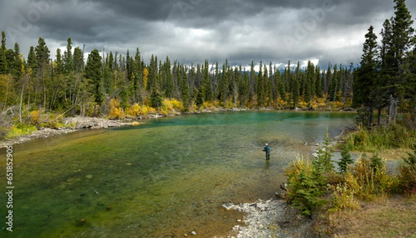 Obraz Fly fishing in a mountain stream