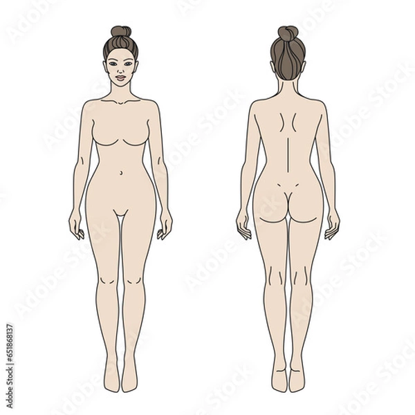 Fototapeta Woman body front and back view vector illustration. Isolated outline line contour color template girl without clothes.