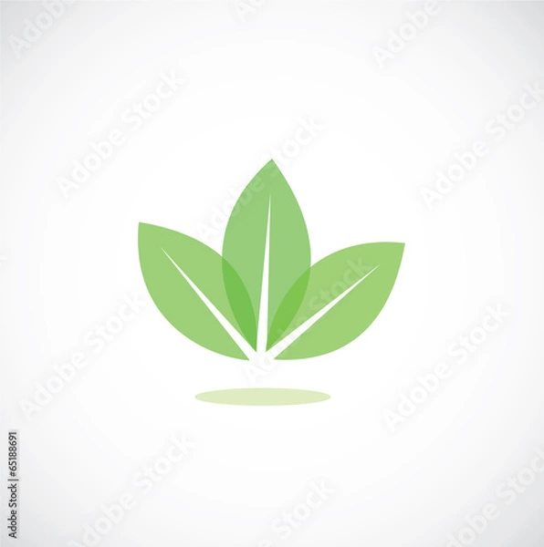 Fototapeta leaves icon vector