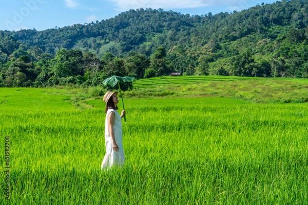Fototapeta middle-aged woman wearing a white dress stood on a rice terrace in the fresh air, walking in the middle of a rice field admiring nature on a holiday morning.