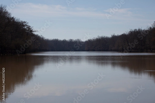 Fototapeta Trees and Water