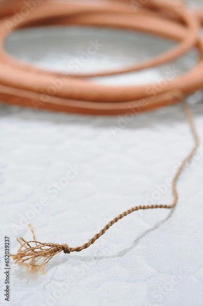 Obraz Coiled Leather Bullwhip