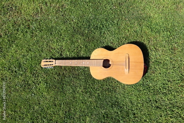 Obraz guitar on the grass