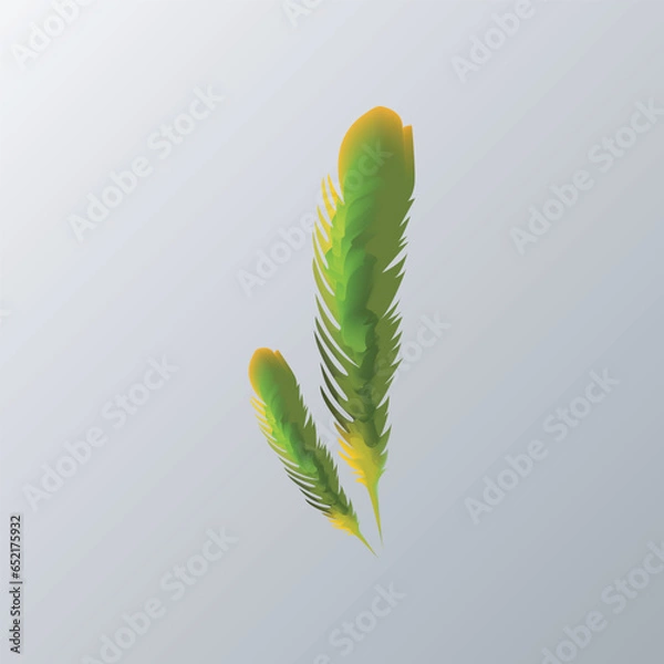 Fototapeta feathers Logo Template