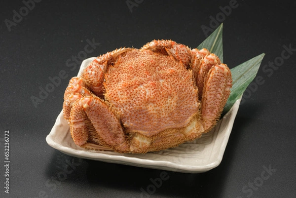 Obraz 毛ガニ姿盛り付け