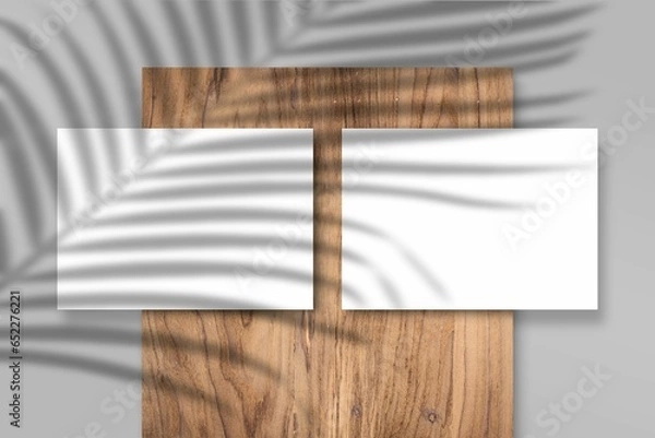 Fototapeta Illustration of shadows of plants on a background with blank abstract frames with copy space