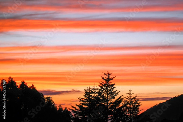 Obraz 綺麗な夕焼け空