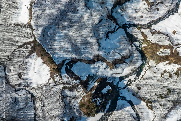 Obraz 雪解けの進む森林