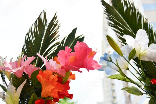 Obraz 赤い花１１