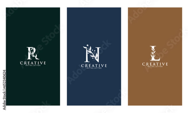 Fototapeta Set of Botanical Minimalistic Initial Letter R, N, L Logo Vector Template
