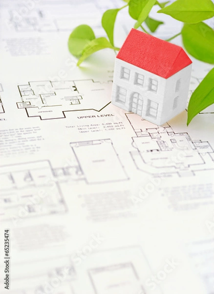 Obraz house and  drawing