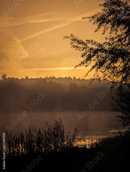 Obraz morgennebel am see