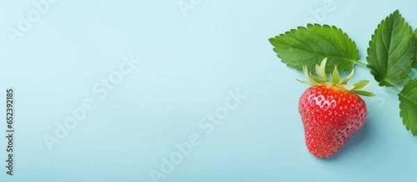 Fototapeta Strawberry leaf on a isolated pastel background Copy space without any other objects around it