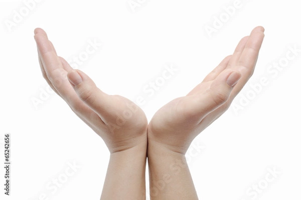 Obraz opened hands on white background