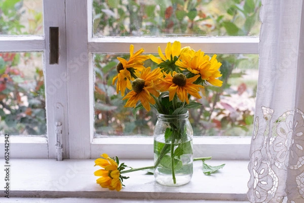 Fototapeta Rudbeckia Amarillo gold. Bouquet of rudbeckia hirta on window sill.