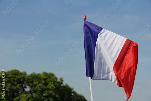 Obraz Drapeau français