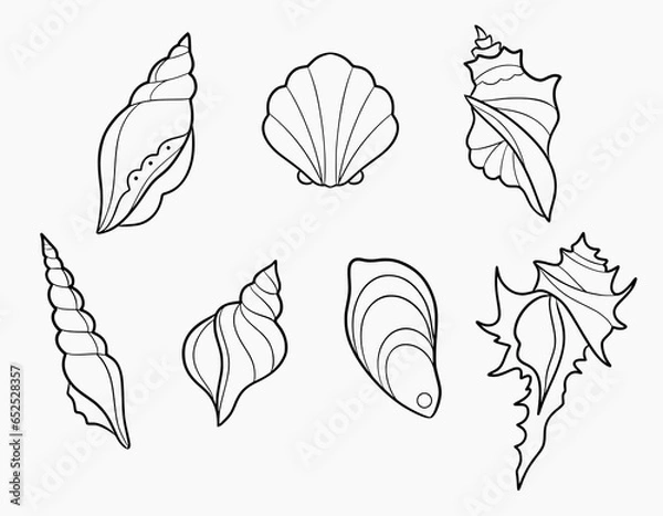 Fototapeta Sea shells black and white simple outline line art vector SVG
