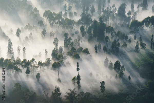 Obraz mount Bromo in the fog