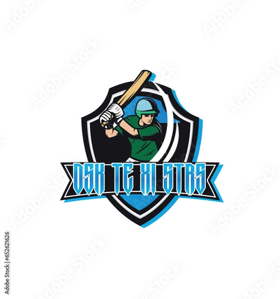 Obraz cricket team logo