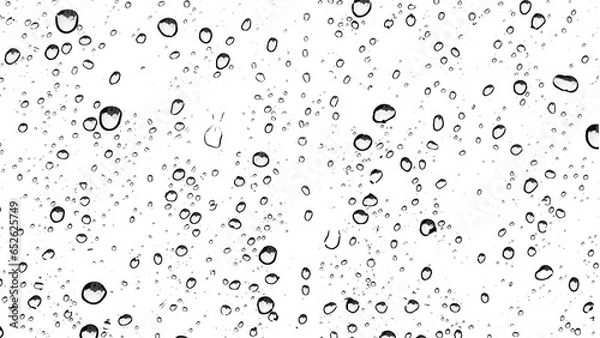 Obraz rain drops on transparent background