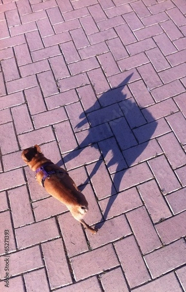 Obraz Little dog and its shadow