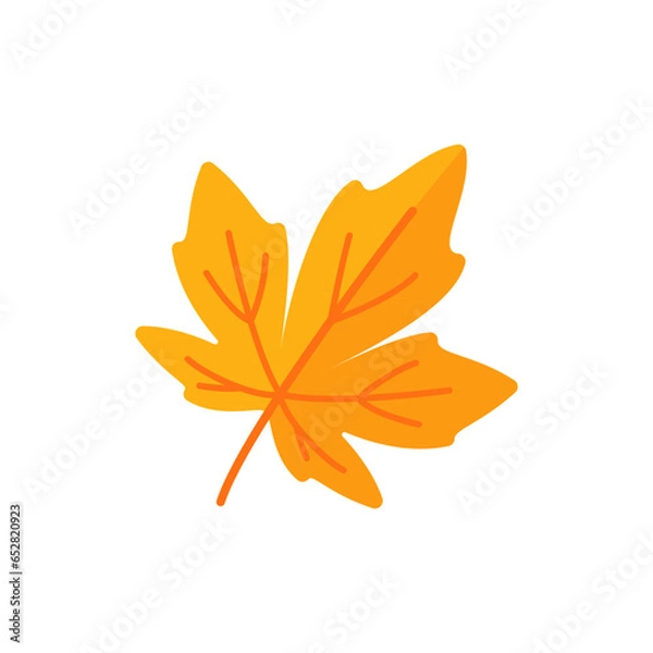 Fototapeta Beautiful leaf composition. Leaves change color in autumn