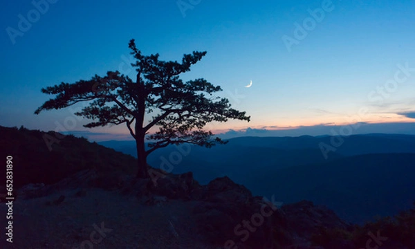 Obraz Sun setting over the mountains with crescent moon, clouds, silhouette and tree