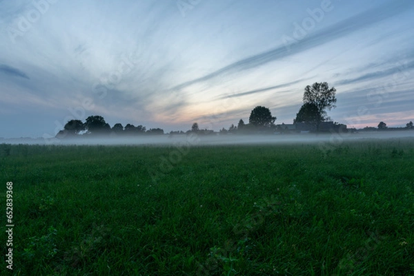 Obraz Evening fog over field